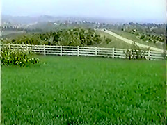 Intimate Encounter with a Married Woman – HD Quality