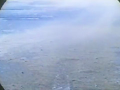 Snack Bar Budapest: Unforgettable Adult Entertainment Experience