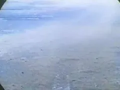 Snack Bar Budapest: Unforgettable Adult Entertainment Experience