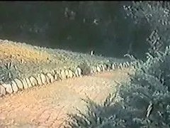 Amateur Video #45710