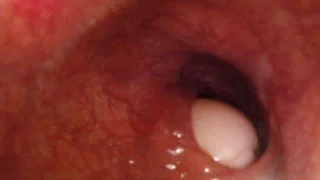 Intense POV Experience with a 12-Inch Dildo in Deep